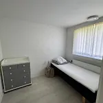 Appartement The Sunflower - Huge 240m2 7-bedroom House For Many People - Free Parking - 15 Beds, 2 Kitchen & 3 Bathrooms