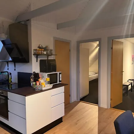 Apartamento The Sunflower - Huge 240m2 7-bedroom House For Many People - Free Parking - 15 Beds, 2 Kitchen & 3 Bathrooms Munkebo