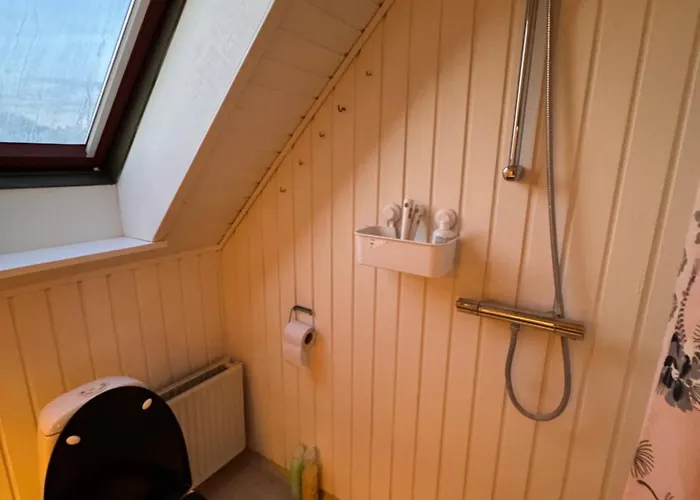 The Sunflower - Huge 240m2 7-bedroom House For 16 People - Free Parking - 15 Beds, 2 Kitchen & 3 Bathrooms Munkebo